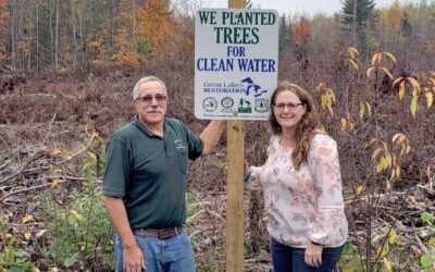 Grossman Forestry honored with award